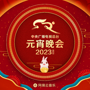 国外枪击生殖器视频
