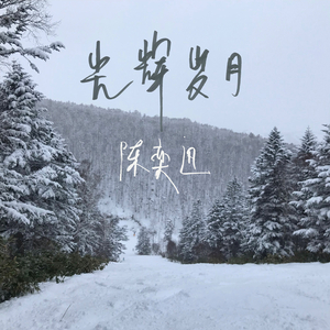 国外枪击生殖器视频
