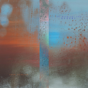 国外枪击生殖器视频
