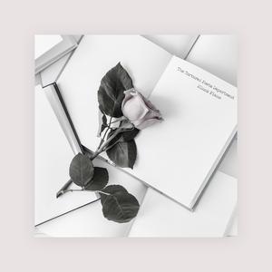 国外枪击生殖器视频
