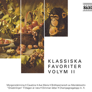 国外枪击生殖器视频
